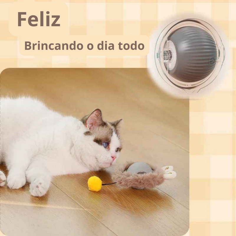 Brinquedo inteligente para gatos: ativa por toque, rola e esconde!