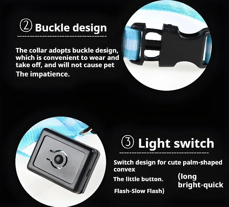 Coleira de nylon com LED para cães – segurança noturna, fluorescente e luminosa.