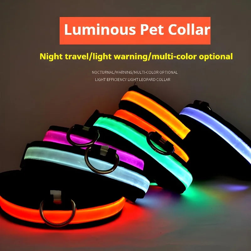 Coleira de nylon com LED para cães – segurança noturna, fluorescente e luminosa.