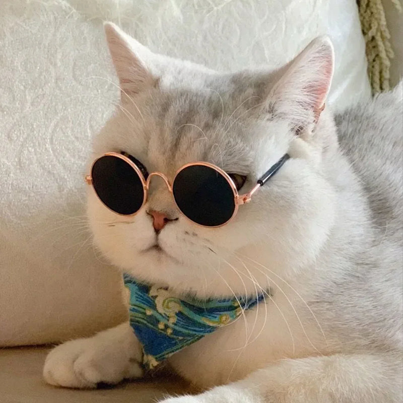 Óculos de Sol para Pets — Estilo e Proteção para os Pequenos.