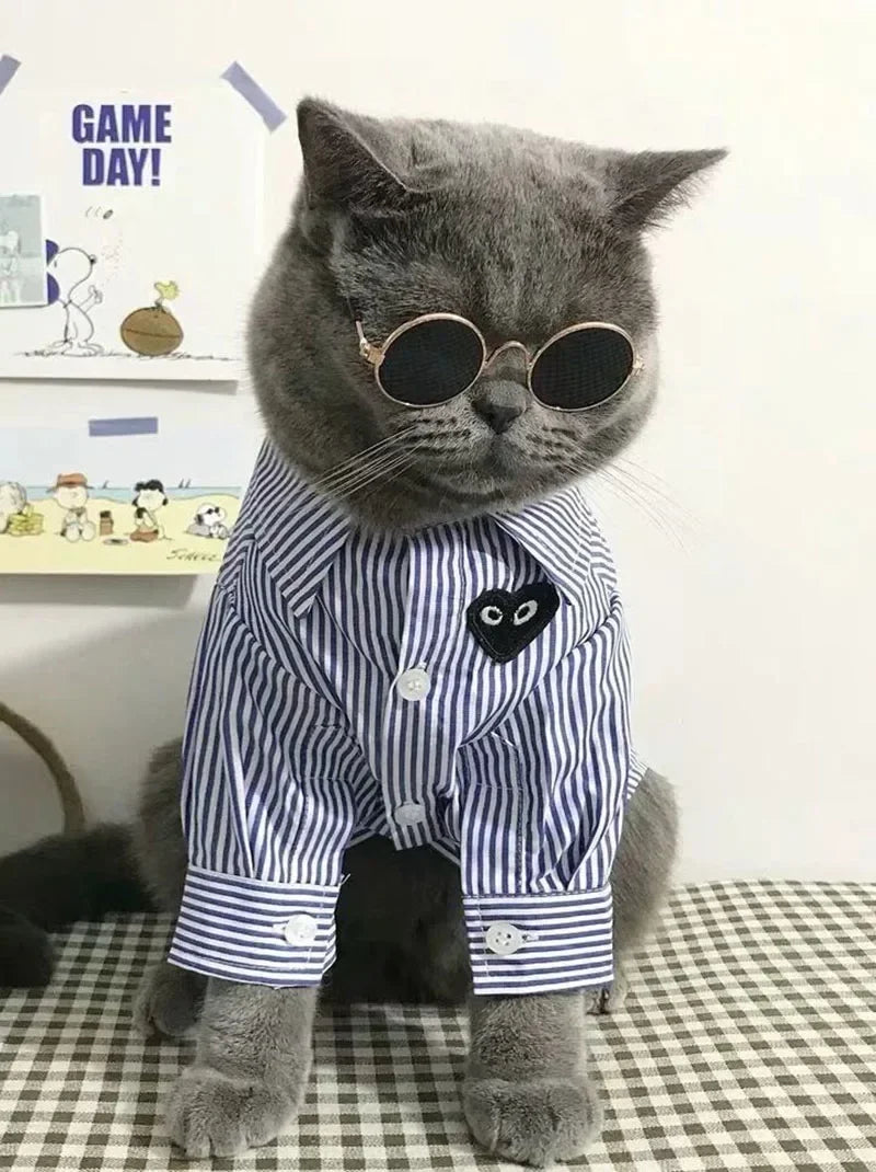Óculos de Sol para Pets — Estilo e Proteção para os Pequenos.
