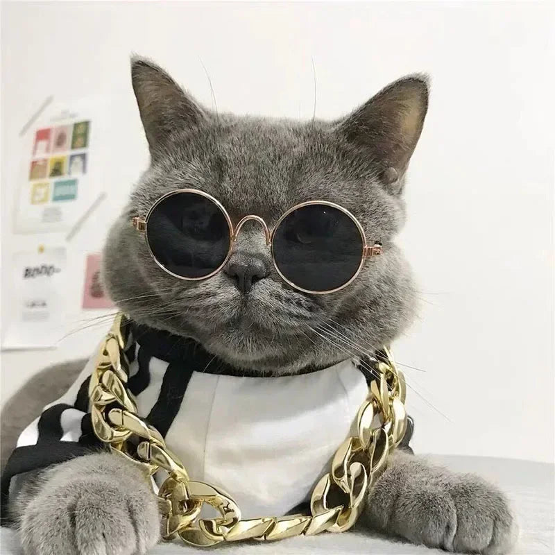 Óculos de Sol para Pets — Estilo e Proteção para os Pequenos.