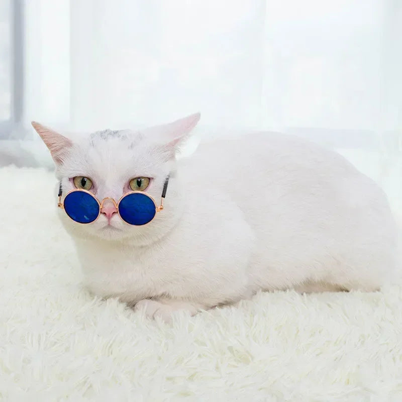 Óculos de Sol para Pets — Estilo e Proteção para os Pequenos.