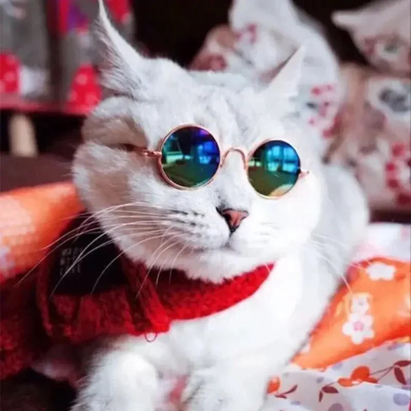 Óculos de Sol para Pets — Estilo e Proteção para os Pequenos.
