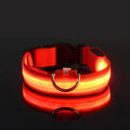 Coleira de nylon com LED para cães – segurança noturna, fluorescente e luminosa.