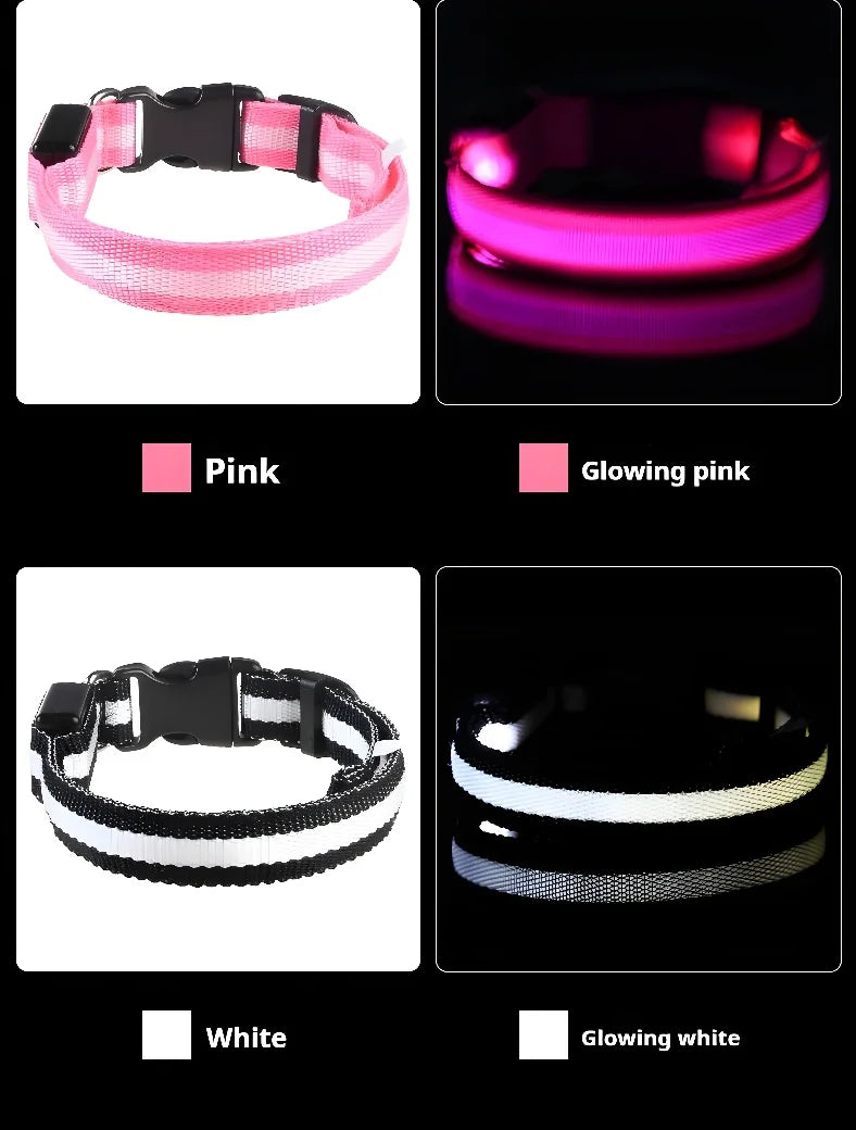 Coleira de nylon com LED para cães – segurança noturna, fluorescente e luminosa.