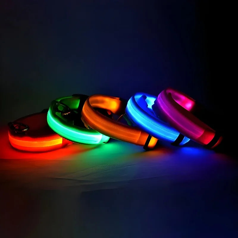 Coleira de nylon com LED para cães – segurança noturna, fluorescente e luminosa.