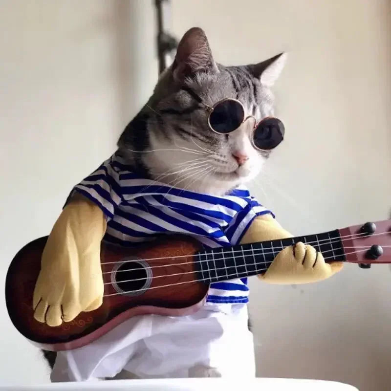 Óculos de Sol para Pets — Estilo e Proteção para os Pequenos.