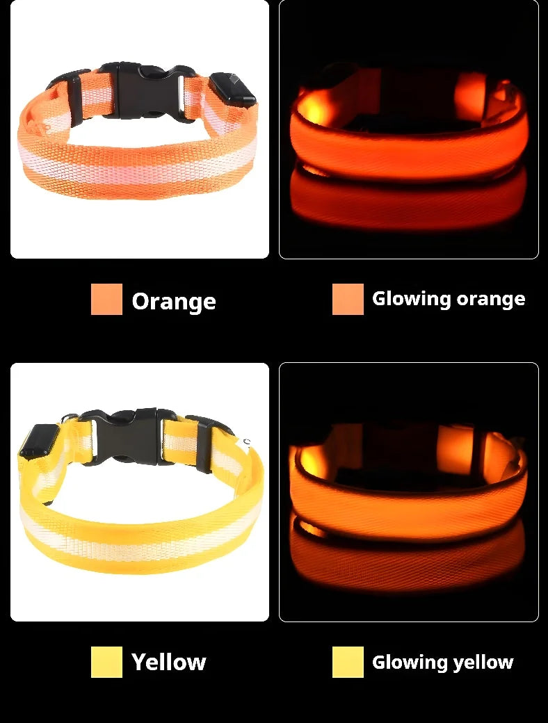 Coleira de nylon com LED para cães – segurança noturna, fluorescente e luminosa.