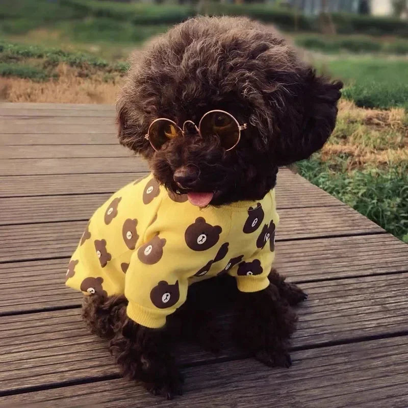 Óculos de Sol para Pets — Estilo e Proteção para os Pequenos.
