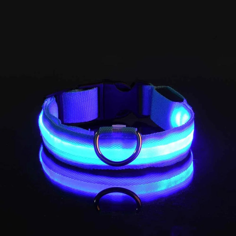 Coleira de nylon com LED para cães – segurança noturna, fluorescente e luminosa.