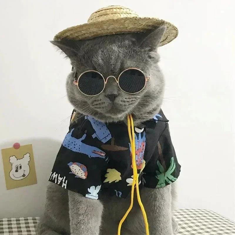 Óculos de Sol para Pets — Estilo e Proteção para os Pequenos.