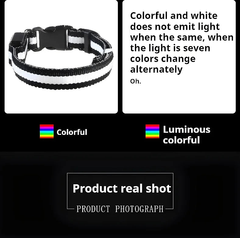 Coleira de nylon com LED para cães – segurança noturna, fluorescente e luminosa.