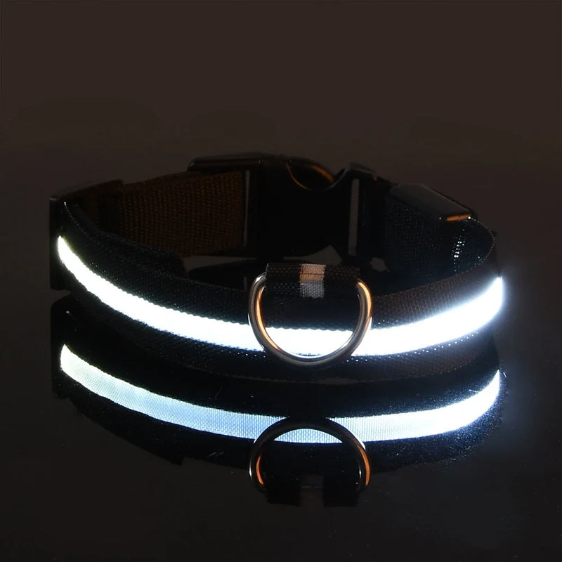Coleira de nylon com LED para cães – segurança noturna, fluorescente e luminosa.