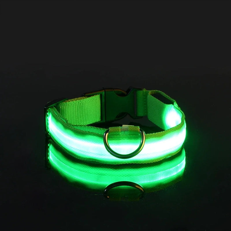 Coleira de nylon com LED para cães – segurança noturna, fluorescente e luminosa.