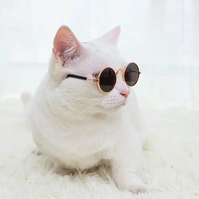 Óculos de Sol para Pets — Estilo e Proteção para os Pequenos.