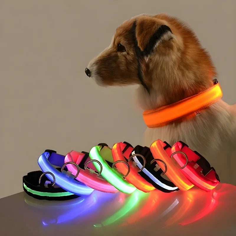 Coleira de nylon com LED para cães – segurança noturna, fluorescente e luminosa.