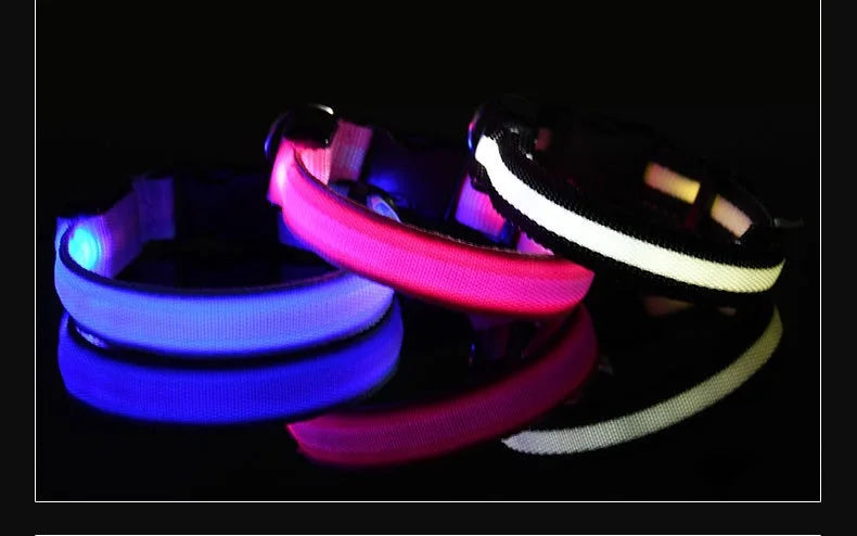 Coleira de nylon com LED para cães – segurança noturna, fluorescente e luminosa.