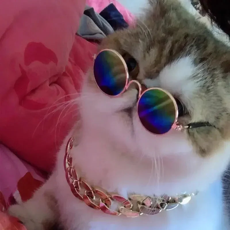 Óculos de Sol para Pets — Estilo e Proteção para os Pequenos.