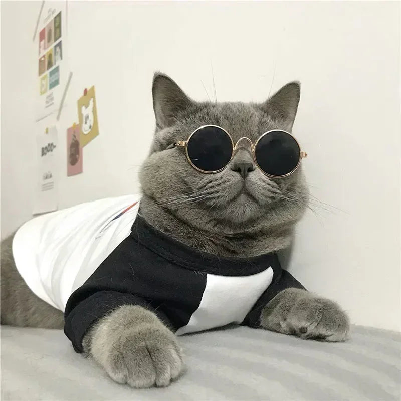 Óculos de Sol para Pets — Estilo e Proteção para os Pequenos.