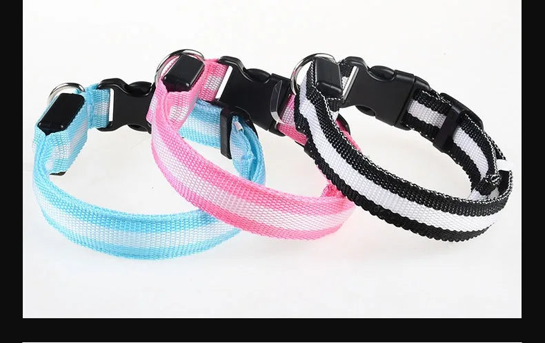 Coleira de nylon com LED para cães – segurança noturna, fluorescente e luminosa.