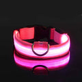 Coleira de nylon com LED para cães – segurança noturna, fluorescente e luminosa.