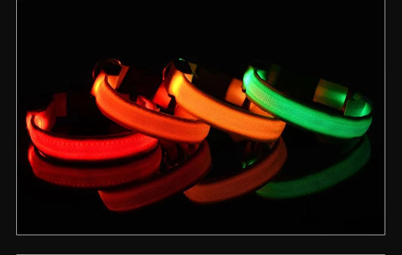 Coleira de nylon com LED para cães – segurança noturna, fluorescente e luminosa.
