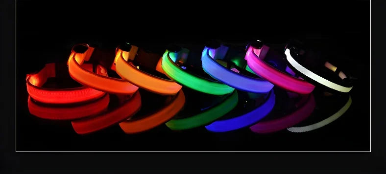 Coleira de nylon com LED para cães – segurança noturna, fluorescente e luminosa.