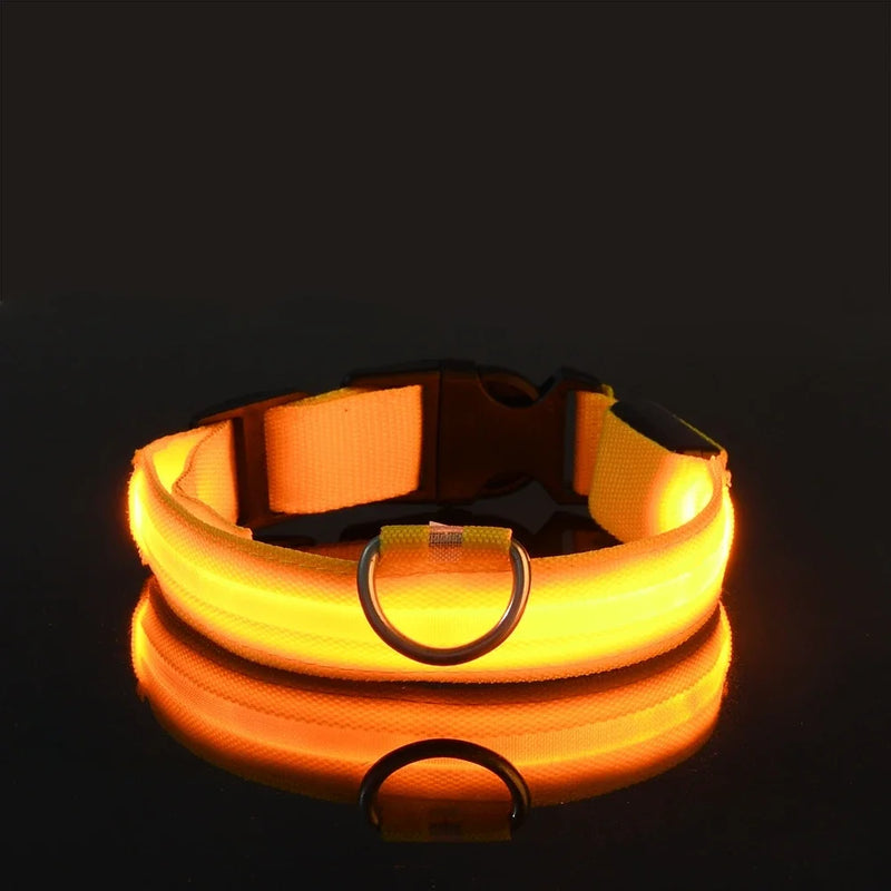 Coleira de nylon com LED para cães – segurança noturna, fluorescente e luminosa.
