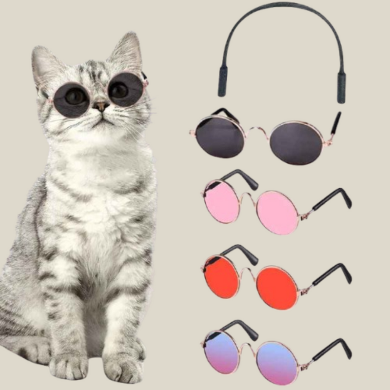 Óculos de Sol para Pets — Estilo e Proteção para os Pequenos.