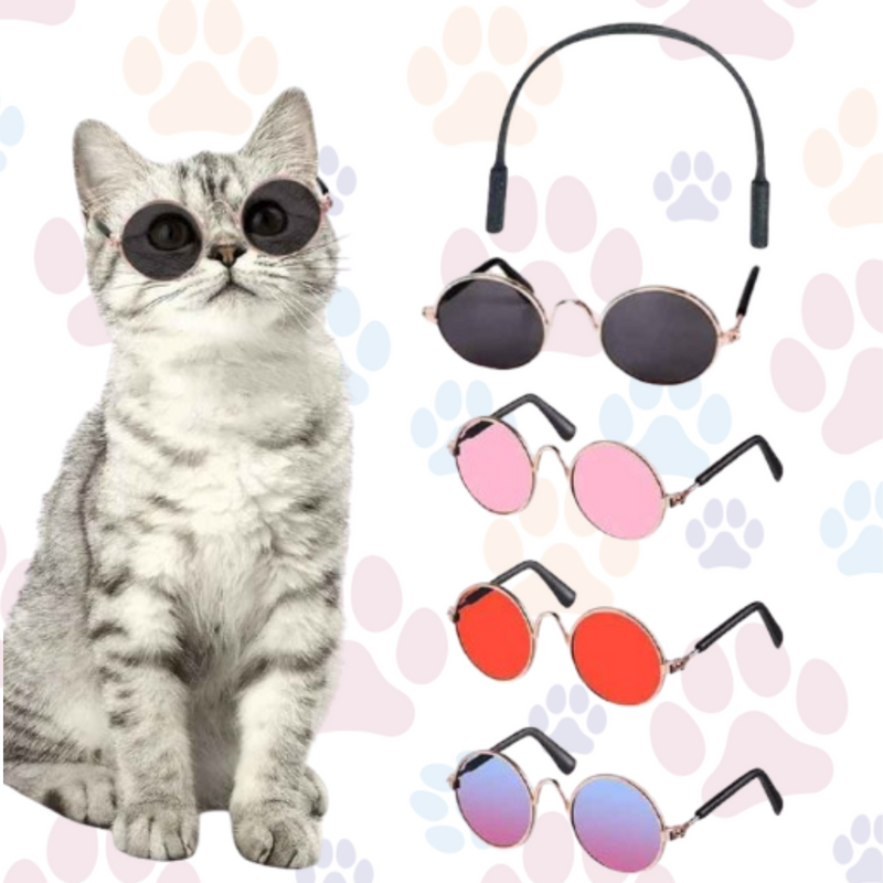Óculos de Sol para Pets — Estilo e Proteção para os Pequenos.